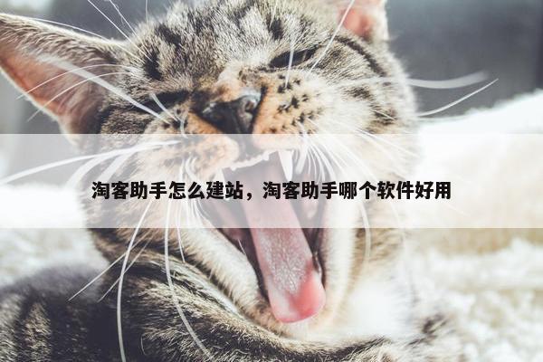 淘客助手怎么建站，淘客助手哪个软件好用