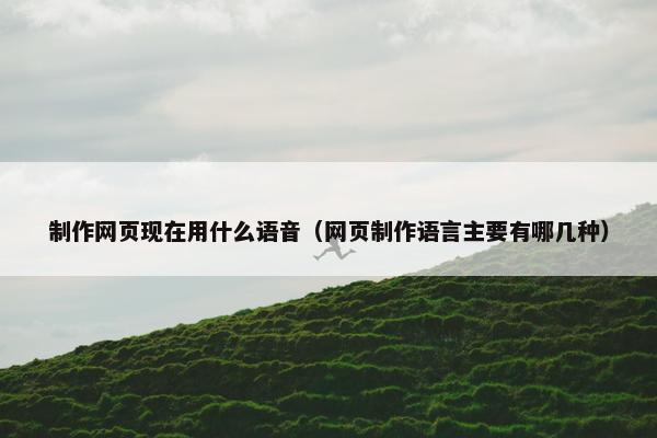 制作网页现在用什么语音（网页制作语言主要有哪几种）
