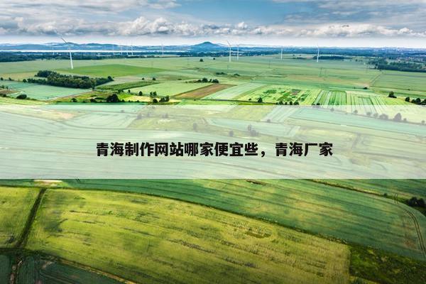 青海制作网站哪家便宜些，青海厂家