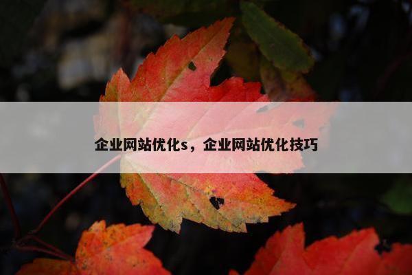 企业网站优化s，企业网站优化技巧