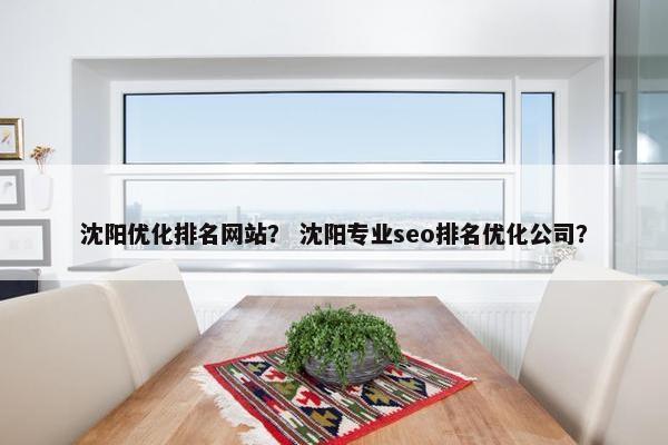 沈阳优化排名网站？ 沈阳专业seo排名优化公司？