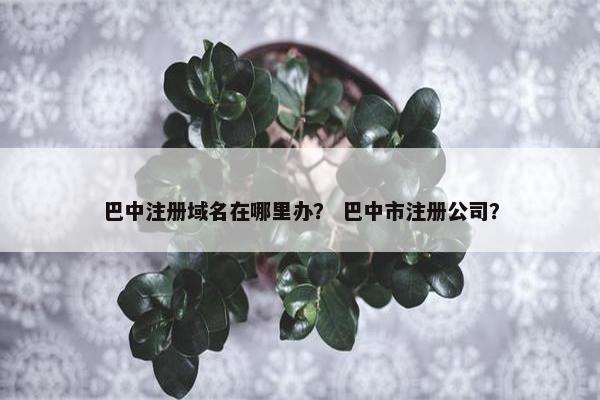 巴中注册域名在哪里办？ 巴中市注册公司？