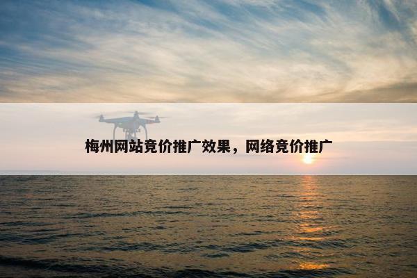 梅州网站竞价推广效果，网络竞价推广