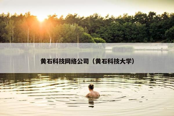 黄石科技网络公司（黄石科技大学）