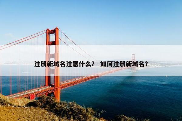 注册新域名注意什么？ 如何注册新域名？