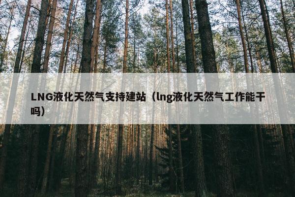 LNG液化天然气支持建站（lng液化天然气工作能干吗）