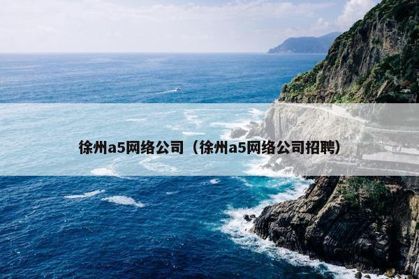 徐州a5网络公司（徐州a5网络公司招聘）