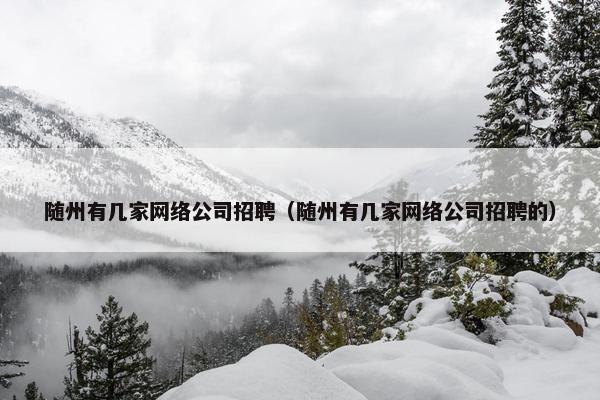 随州有几家网络公司招聘（随州有几家网络公司招聘的）