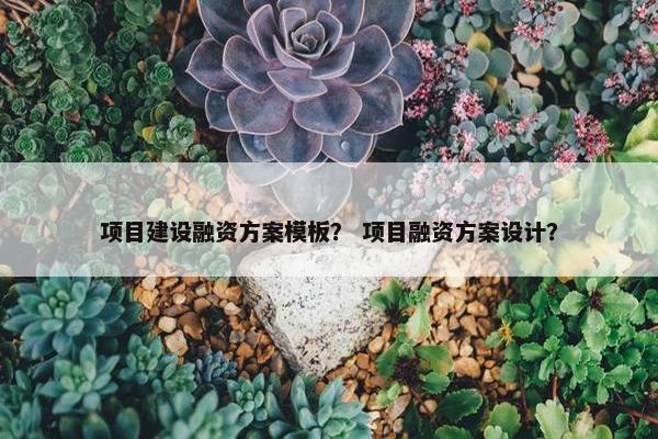 项目建设融资方案模板？ 项目融资方案设计？