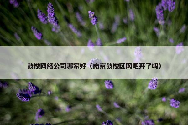 鼓楼网络公司哪家好（南京鼓楼区网吧开了吗）