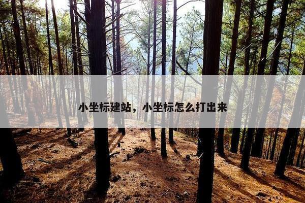 小坐标建站，小坐标怎么打出来