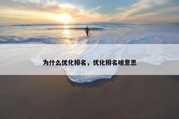 为什么优化排名，优化排名啥意思