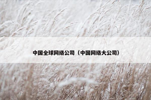 中国全球网络公司（中国网络大公司）