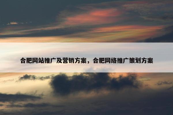 合肥网站推广及营销方案，合肥网络推广策划方案