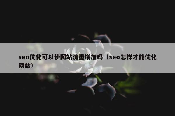 seo优化可以使网站流量增加吗（seo怎样才能优化网站）