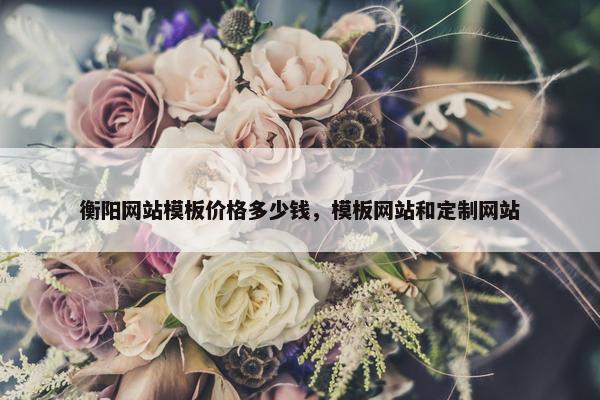 衡阳网站模板价格多少钱，模板网站和定制网站