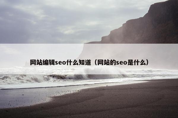 网站编辑seo什么知道（网站的seo是什么）