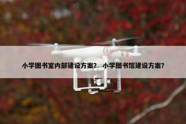 小学图书室内部建设方案？ 小学图书馆建设方案？