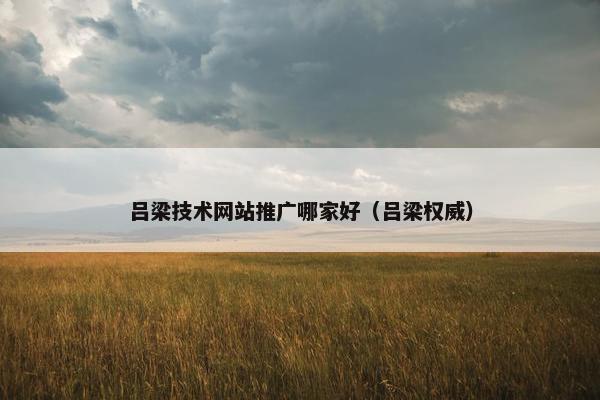 吕梁技术网站推广哪家好（吕梁权威）