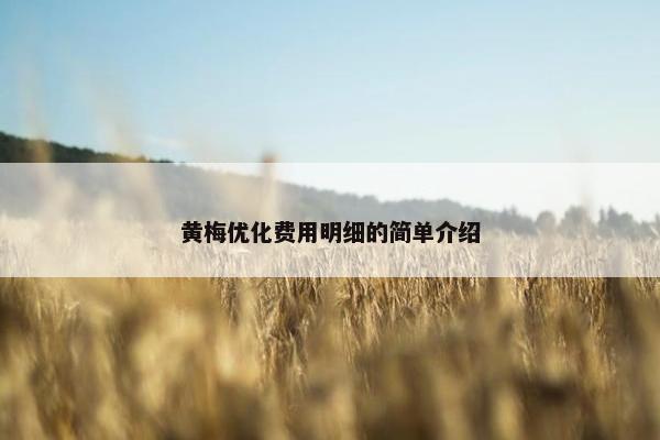 黄梅优化费用明细的简单介绍