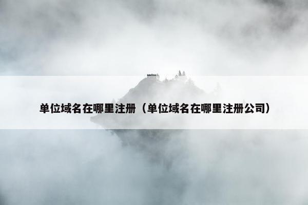 单位域名在哪里注册（单位域名在哪里注册公司）