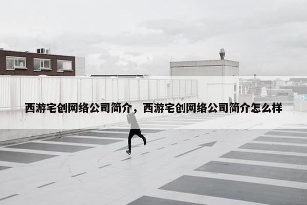 西游宅创网络公司简介，西游宅创网络公司简介怎么样