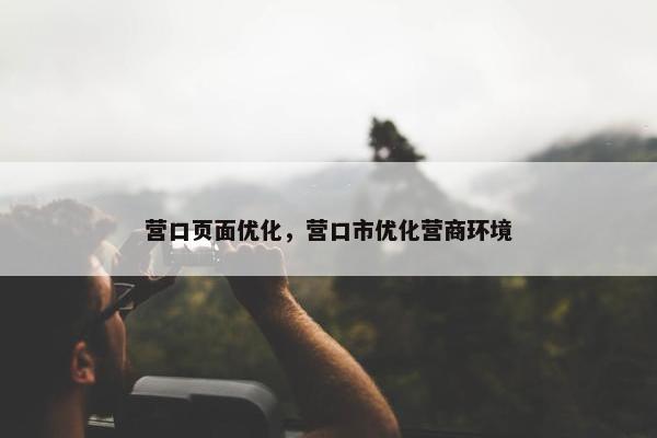 营口页面优化，营口市优化营商环境