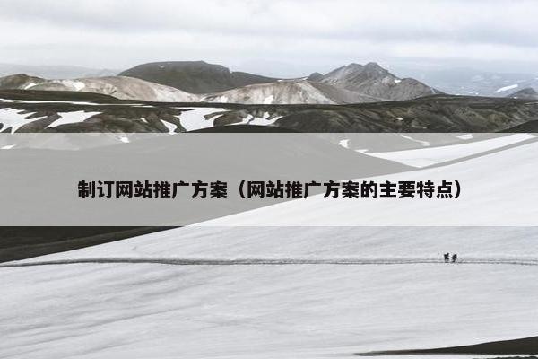 制订网站推广方案（网站推广方案的主要特点）