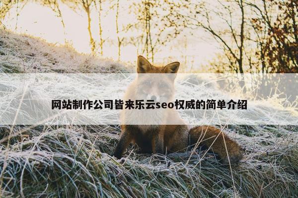 网站制作公司皆来乐云seo权威的简单介绍