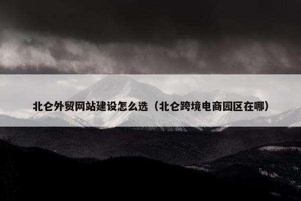 北仑外贸网站建设怎么选（北仑跨境电商园区在哪）