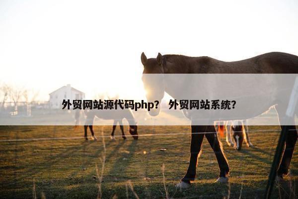 外贸网站源代码php？ 外贸网站系统？