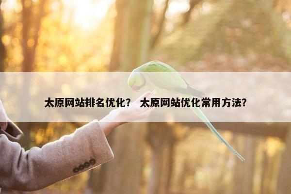 太原网站排名优化？ 太原网站优化常用方法？