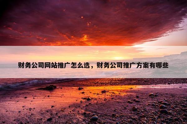 财务公司网站推广怎么选，财务公司推广方案有哪些