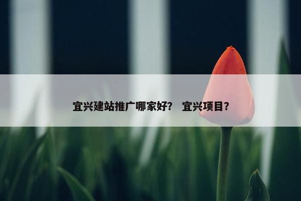 宜兴建站推广哪家好？ 宜兴项目？