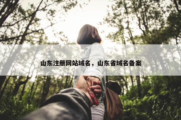 山东注册网站域名，山东省域名备案