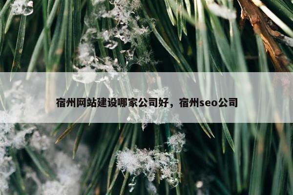 宿州网站建设哪家公司好，宿州seo公司
