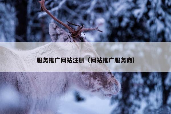 服务推广网站注册（网站推广服务商）