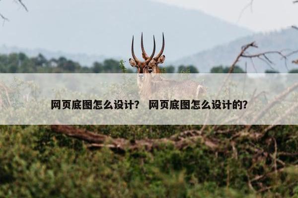 网页底图怎么设计？ 网页底图怎么设计的？