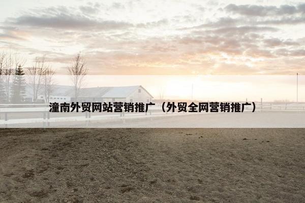 潼南外贸网站营销推广（外贸全网营销推广）
