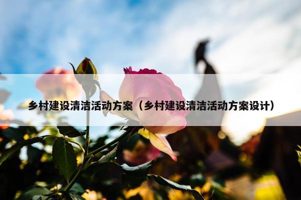 乡村建设清洁活动方案（乡村建设清洁活动方案设计）