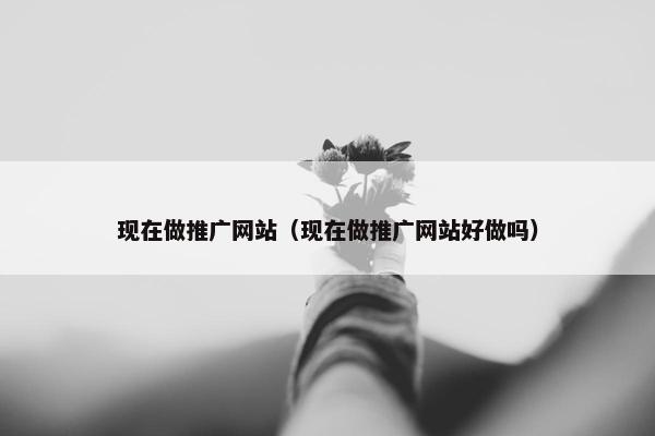 现在做推广网站（现在做推广网站好做吗）