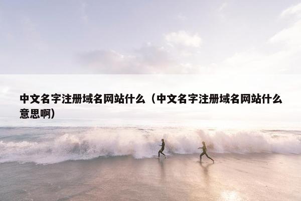 中文名字注册域名网站什么（中文名字注册域名网站什么意思啊）