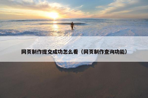 网页制作提交成功怎么看（网页制作查询功能）