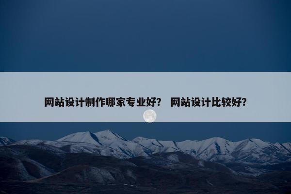 网站设计制作哪家专业好？ 网站设计比较好？