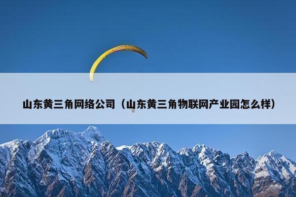 山东黄三角网络公司（山东黄三角物联网产业园怎么样）