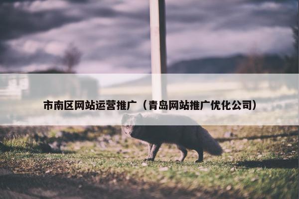 市南区网站运营推广（青岛网站推广优化公司）