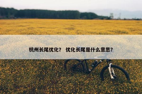 杭州长尾优化？ 优化长尾是什么意思？
