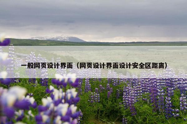 一般网页设计界面（网页设计界面设计安全区距离）