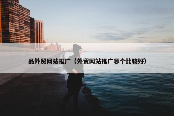 品外贸网站推广（外贸网站推广哪个比较好）