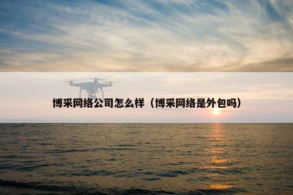博采网络公司怎么样（博采网络是外包吗）